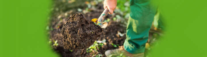 schaufel kategorieeinstiegsbanner